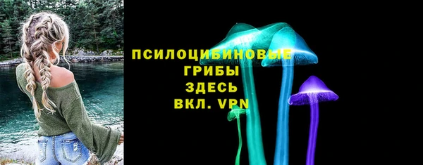сатива Куйбышев