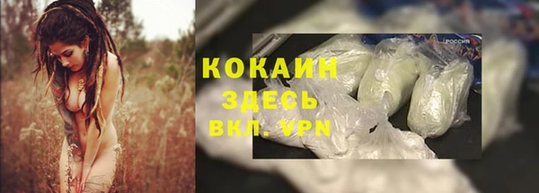 сатива Куйбышев