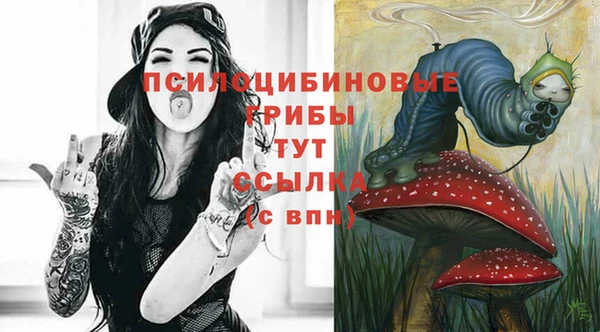сатива Куйбышев